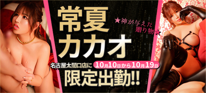 【太閤口】カカオ限定